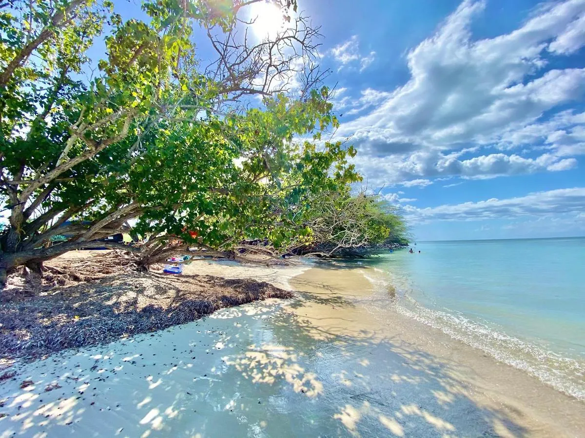 Playa Rustica Off Road Beach Campground - 4X4 Vehicle Access Hotel Boqueron Luxury tent